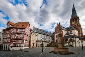 Schädlingsbekämpfung Aschaffenburg Kammerjäger Aschaffenburg